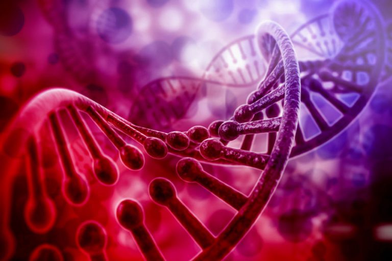 6 Ways To Positively Impact Your Genes - SOL Physical Therapy
